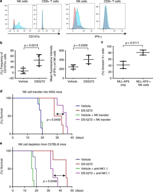 NK1.1 Antibody in Flow Cytometry (Flow)