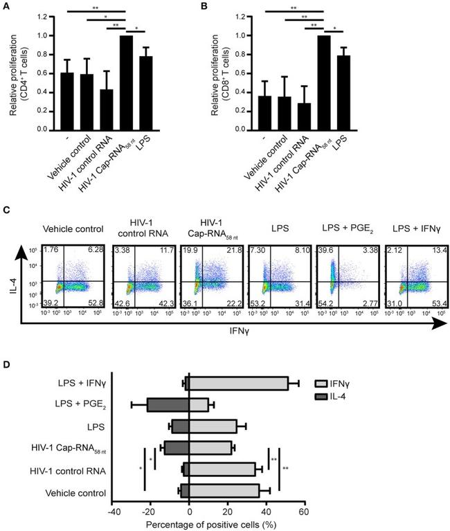 CD3 Antibody in Flow Cytometry (Flow)