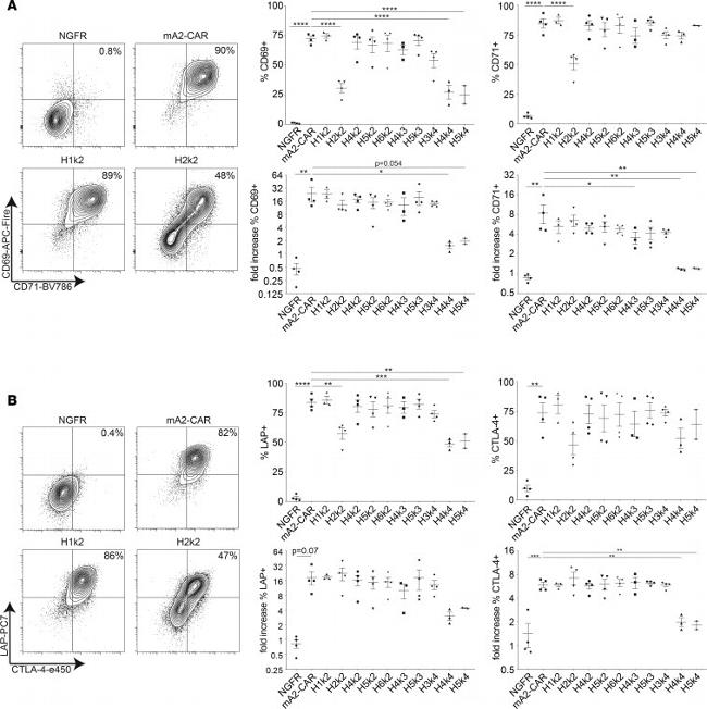 LAP (Latency Associated peptide) Antibody in Flow Cytometry (Flow)