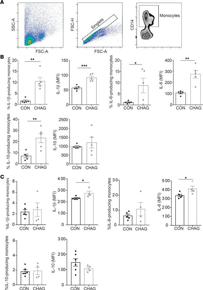 IL-1 beta Antibody in Flow Cytometry (Flow)