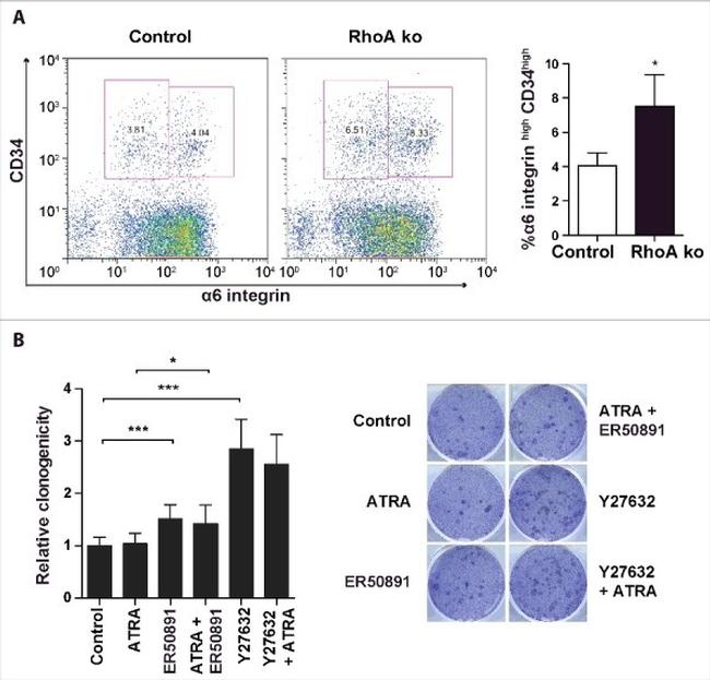 CD34 Antibody in Flow Cytometry (Flow)