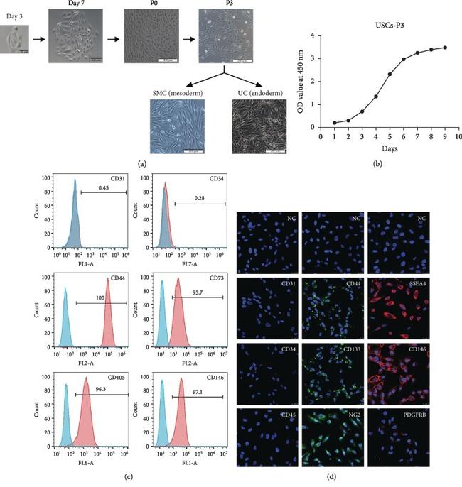 CD105 (Endoglin) Antibody in Flow Cytometry (Flow)