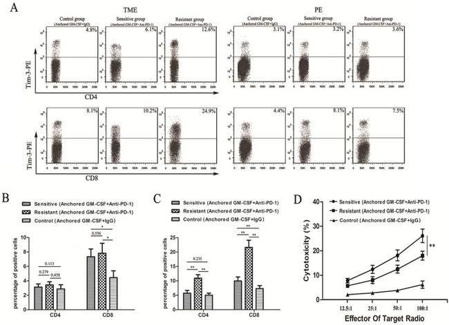 CD4 Antibody in Flow Cytometry (Flow)