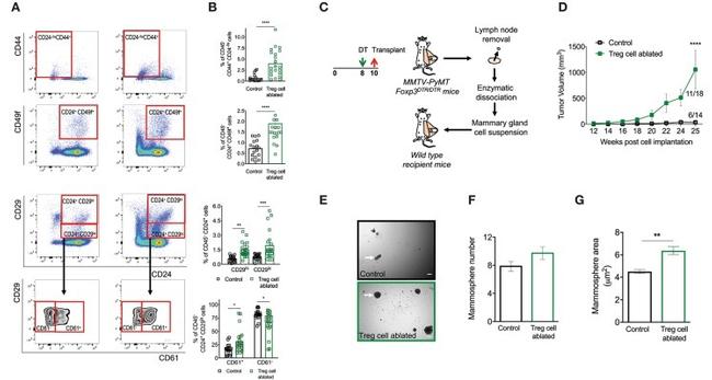 CD29 (Integrin beta 1) Antibody in Flow Cytometry (Flow)