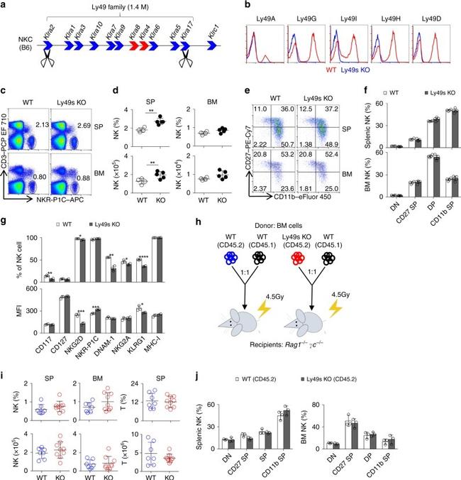 NK1.1 Antibody in Flow Cytometry (Flow)