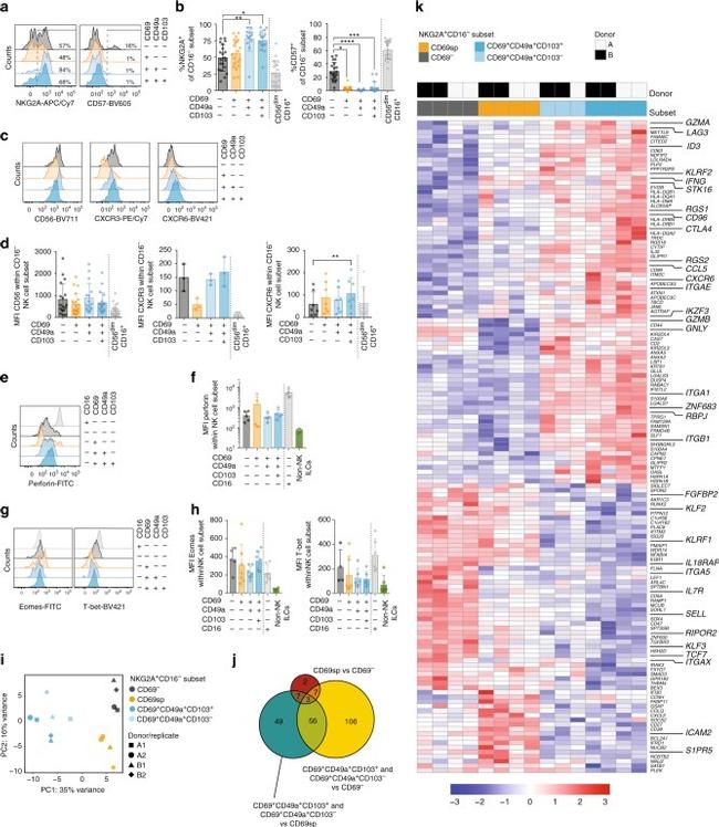 EOMES Antibody in Flow Cytometry (Flow)