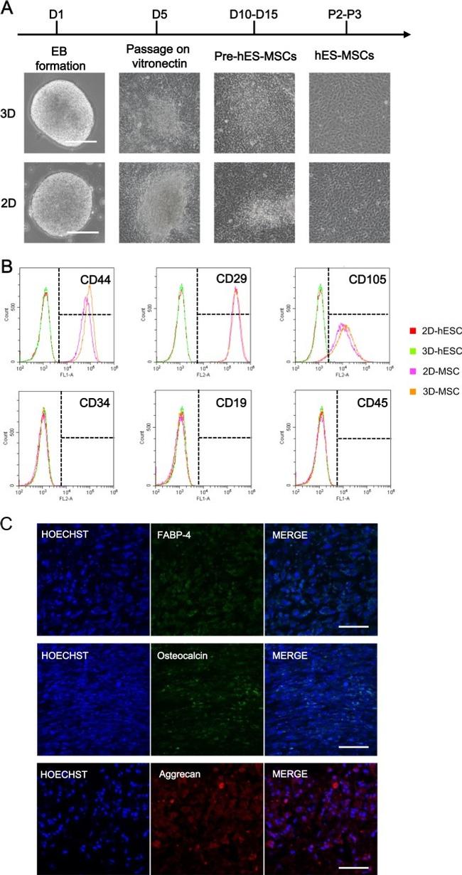 CD45 Antibody in Flow Cytometry (Flow)