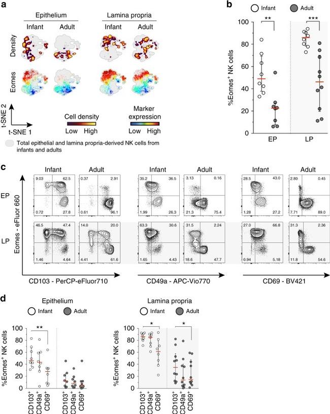 EOMES Antibody in Flow Cytometry (Flow)