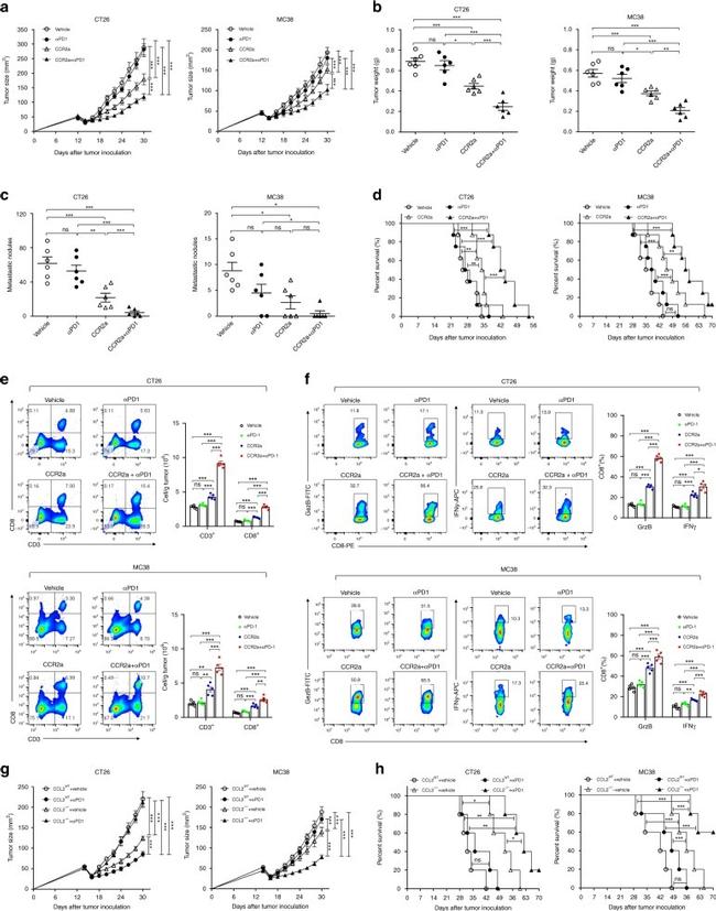 CD3 Antibody in Flow Cytometry (Flow)