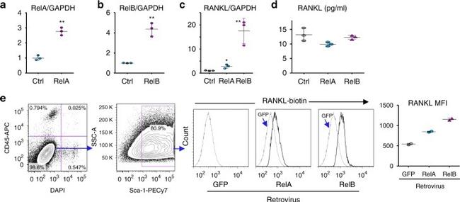 Ly-6A/E (Sca-1) Antibody in Flow Cytometry (Flow)