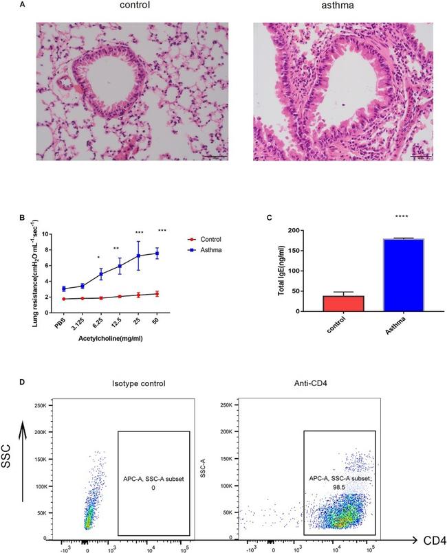 CD4 Antibody in Flow Cytometry (Flow)