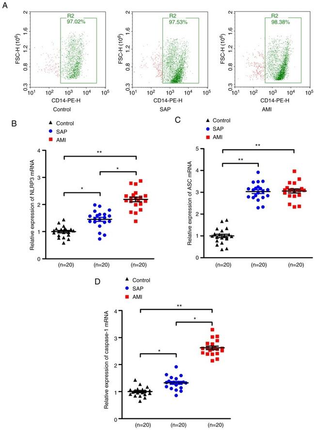 CD14 Antibody in Flow Cytometry (Flow)