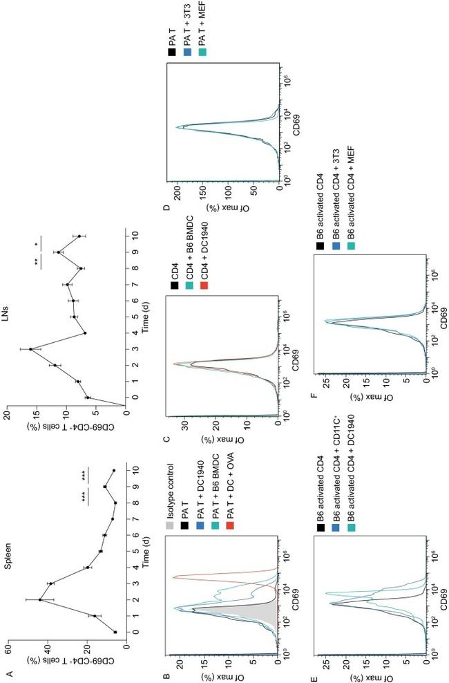 CD28 Antibody in Flow Cytometry (Flow)