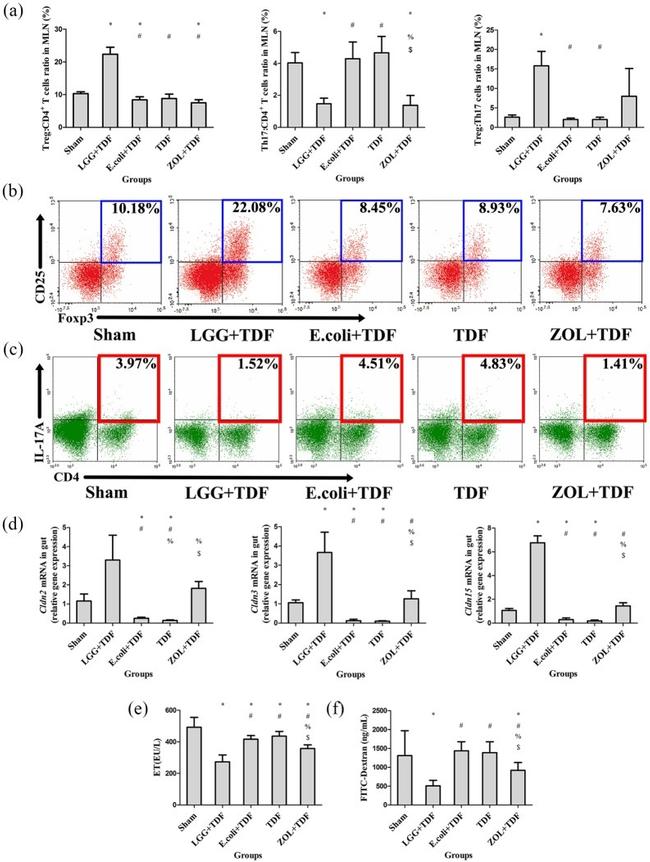 CD4 Antibody in Flow Cytometry (Flow)