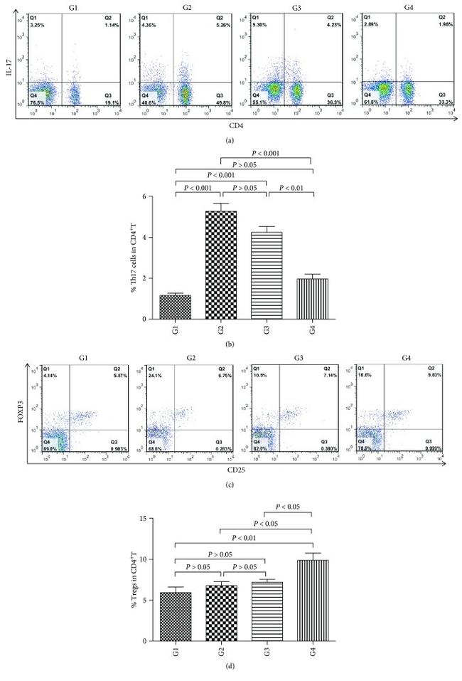 IL-17A Antibody in Flow Cytometry (Flow)