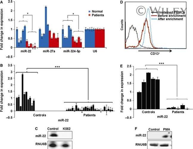 CD13 Antibody in Flow Cytometry (Flow)