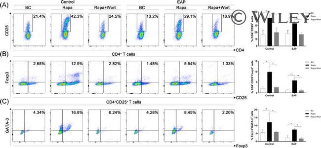 CD28 Antibody in T-Cell Activation (TCA)