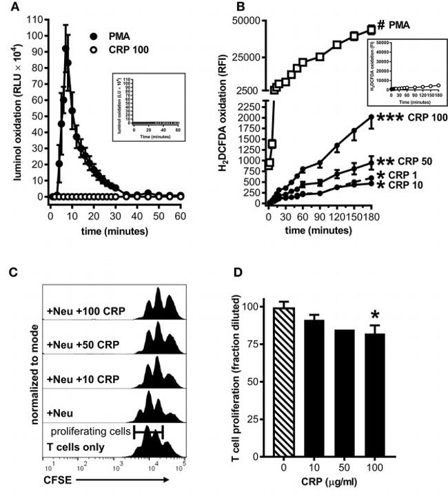 CD28 Antibody in T-Cell Activation (TCA)