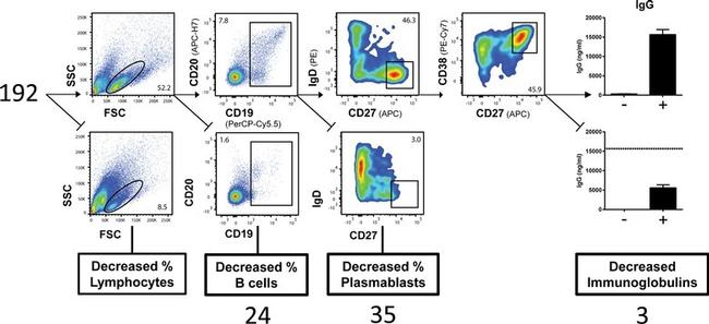 CD3 Antibody in Flow Cytometry (Flow)