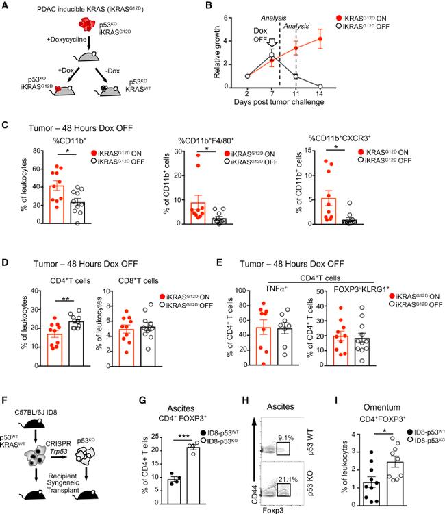 CD44 Antibody in Flow Cytometry (Flow)