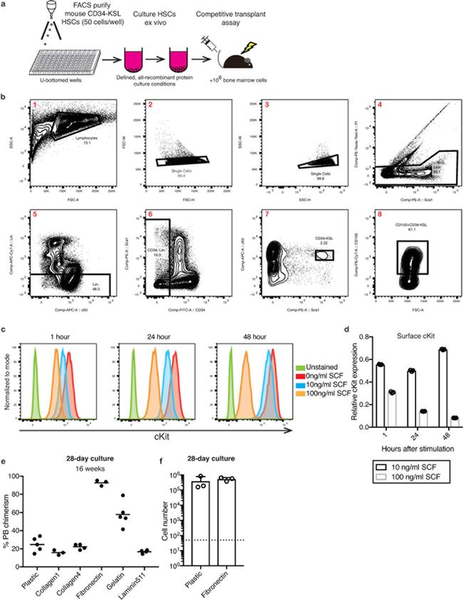 CD34 Antibody in Flow Cytometry (Flow)