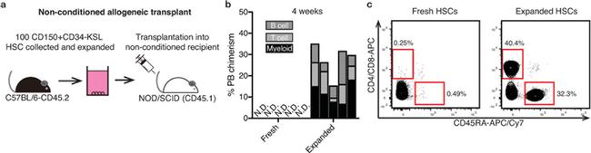 CD4 Antibody in Flow Cytometry (Flow)