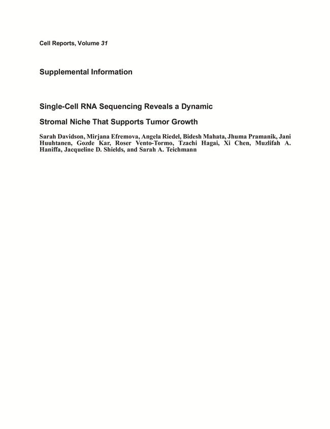 Alpha-Smooth Muscle Actin Antibody in Immunohistochemistry (IHC)