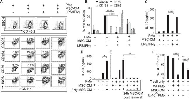 iNOS Antibody in Flow Cytometry (Flow)