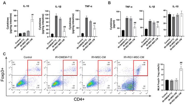 FOXP3 Antibody in Flow Cytometry (Flow)