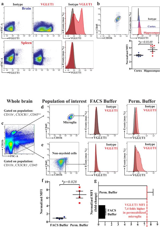 CD45 Antibody in Flow Cytometry (Flow)