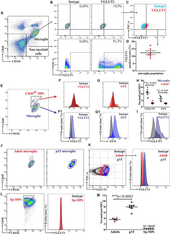 CD45 Antibody in Flow Cytometry (Flow)