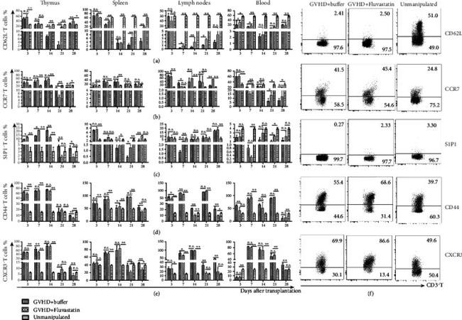 CD197 (CCR7) Antibody in Flow Cytometry (Flow)