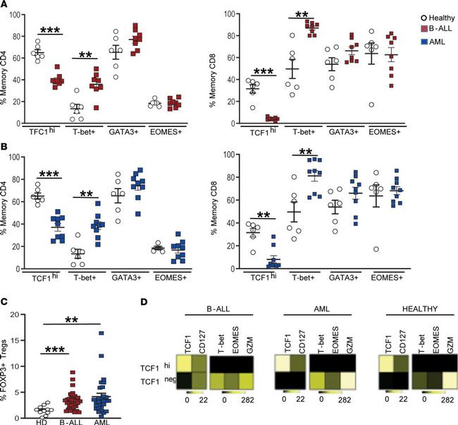 CD279 (PD-1) Antibody in Flow Cytometry (Flow)