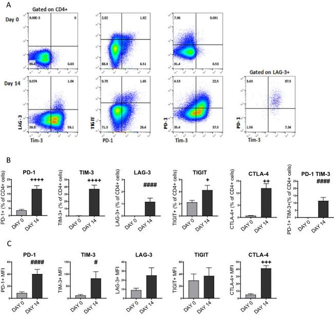 CD279 (PD-1) Antibody in Flow Cytometry (Flow)